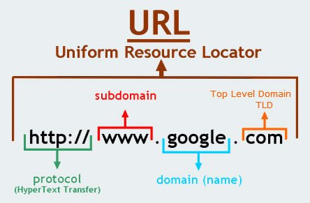 Domain Name Advice